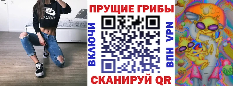 Галлюциногенные грибы Cubensis  Купить закладки  Теберда 